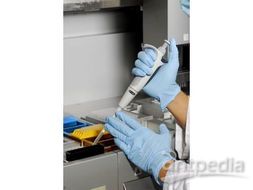 莱茵技术青岛食品实验室 技术交流中的图片应用与价值